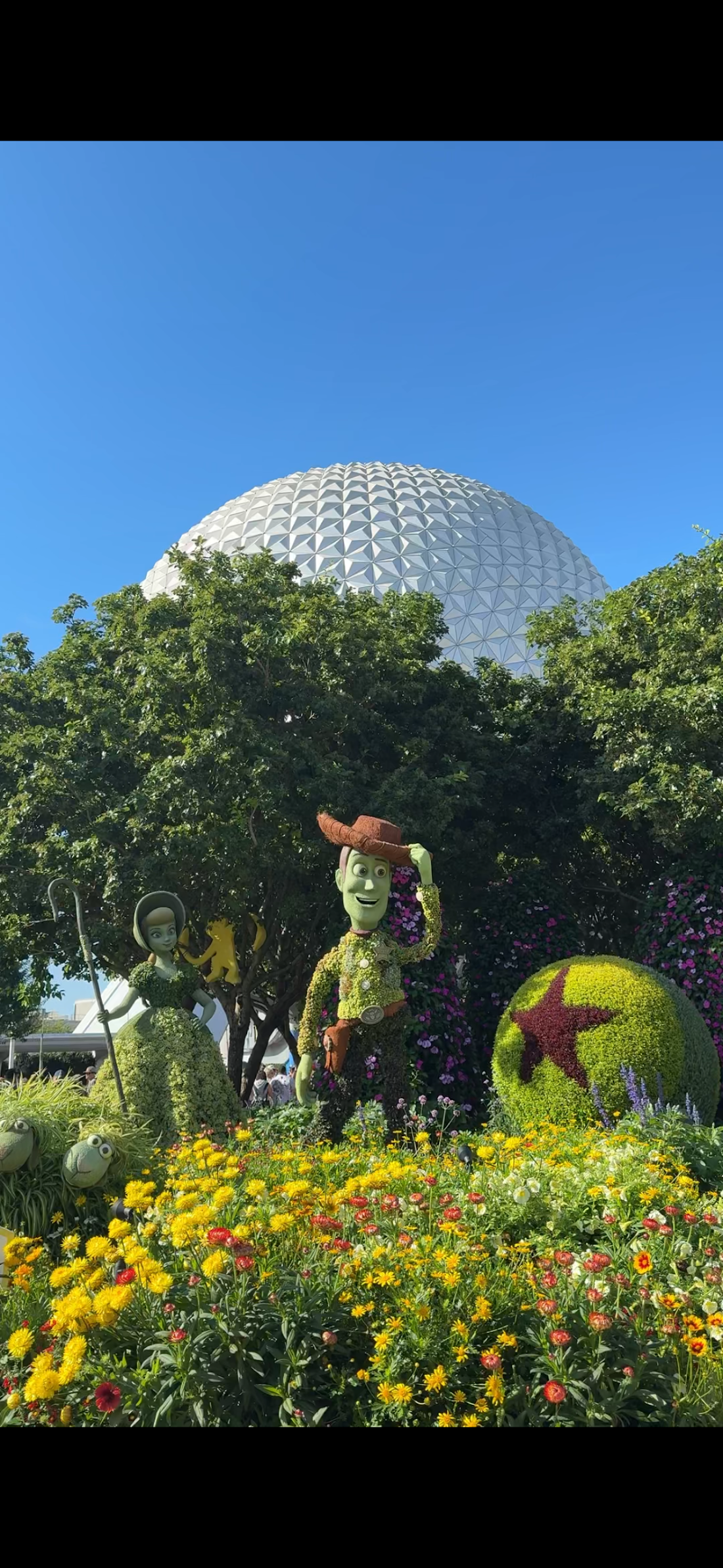 冨張愛 ディズニースナップ