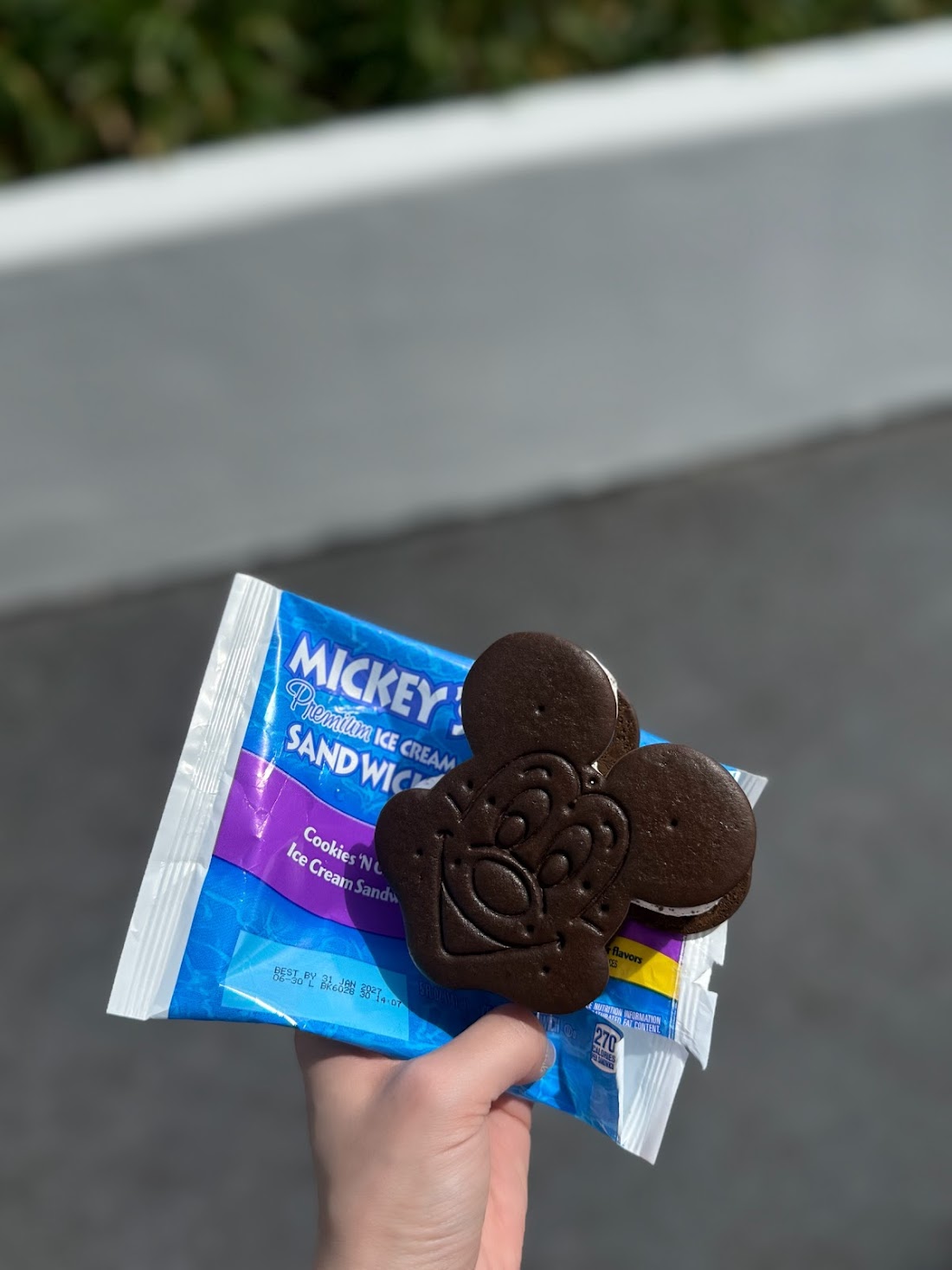 冨張愛 ディズニースナップ