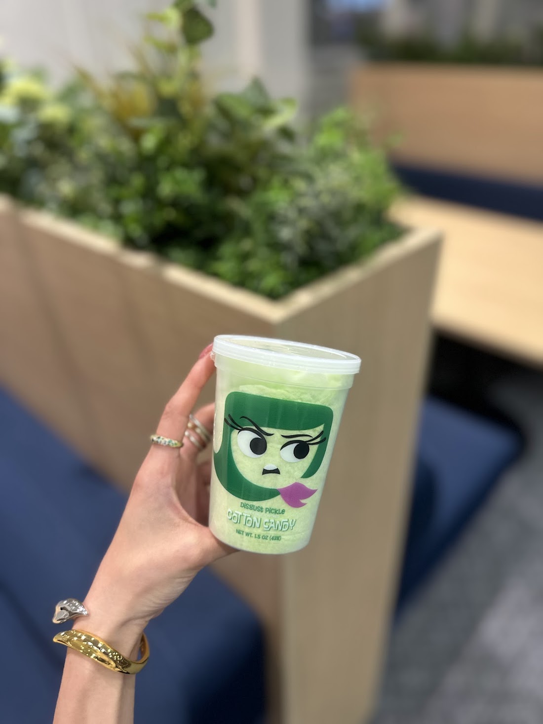 冨張愛 ディズニースナップ